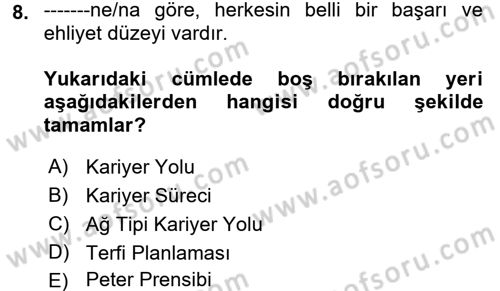 Performans ve Kariyer Yönetimi Dersi 2017 - 2018 Yılı (Final) Dönem Sonu Sınav Soruları 8. Soru