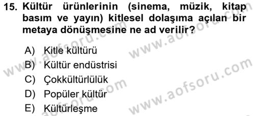 Kültür Tarihi Dersi 2015 - 2016 Yılı (Final) Dönem Sonu Sınav Soruları 15. Soru