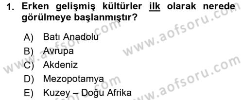 Kültür Tarihi Dersi 2016 - 2017 Yılı (Final) Dönem Sonu Sınav Soruları 1. Soru