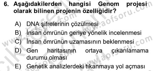 Kültür Tarihi Dersi 2016 - 2017 Yılı (Final) Dönem Sonu Sınav Soruları 6. Soru