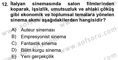 Kültür Tarihi Dersi 2017 - 2018 Yılı (Final) Dönem Sonu Sınav Soruları 12. Soru