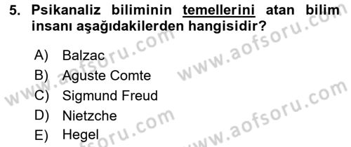 Kültür Tarihi Dersi 2018 - 2019 Yılı (Final) Dönem Sonu Sınav Soruları 5. Soru