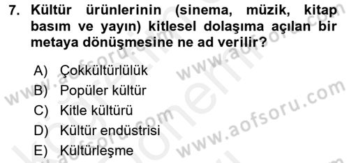 Kültür Tarihi Dersi 2018 - 2019 Yılı (Final) Dönem Sonu Sınav Soruları 7. Soru