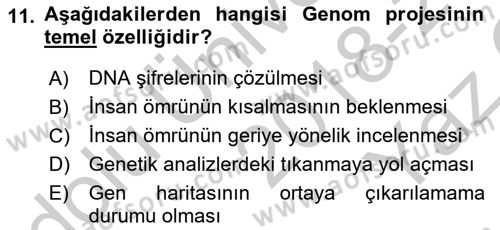 Kültür Tarihi Dersi 2018 - 2019 Yılı Yaz Okulu Sınav Soruları 11. Soru