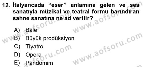 Kültür Tarihi Dersi 2018 - 2019 Yılı Yaz Okulu Sınav Soruları 12. Soru