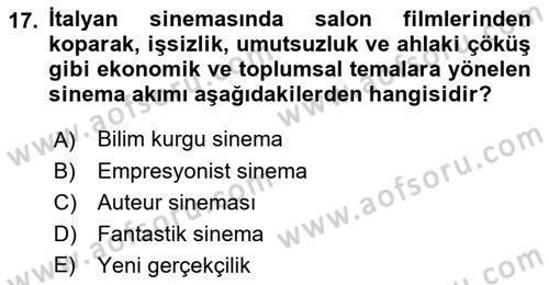 Kültür Tarihi Dersi 2018 - 2019 Yılı Yaz Okulu Sınav Soruları 17. Soru