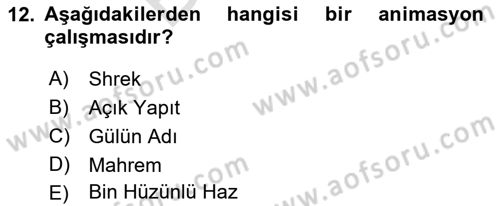 Kültür Tarihi Dersi 2021 - 2022 Yılı (Final) Dönem Sonu Sınav Soruları 12. Soru