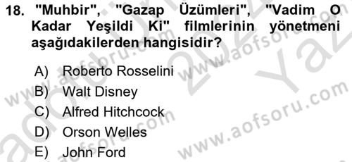 Kültür Tarihi Dersi 2024 - 2025 Yılı Yaz Okulu Sınav Soruları 18. Soru