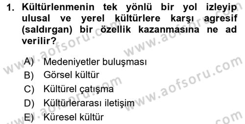 Kültür Tarihi Dersi 2025 - 2026 Yılı (Final) Dönem Sonu Sınav Soruları 1. Soru