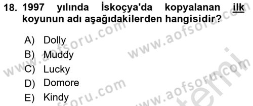 Kültür Tarihi Dersi 2025 - 2026 Yılı (Final) Dönem Sonu Sınav Soruları 18. Soru