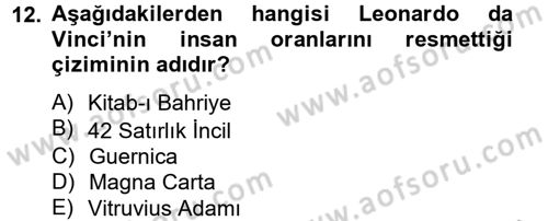 Görsel Kültür Dersi 2012 - 2013 Yılı (Final) Dönem Sonu Sınav Soruları 12. Soru