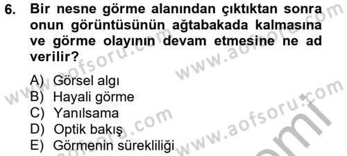 Görsel Kültür Dersi 2012 - 2013 Yılı (Final) Dönem Sonu Sınav Soruları 6. Soru