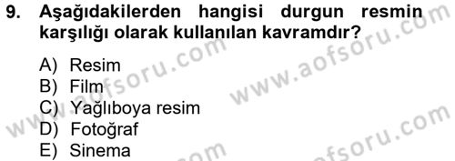 Görsel Kültür Dersi 2012 - 2013 Yılı (Final) Dönem Sonu Sınav Soruları 9. Soru