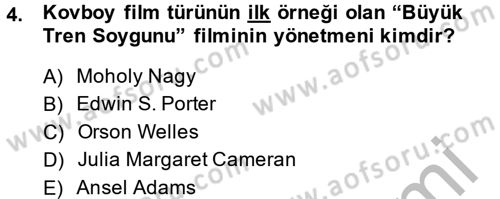 Görsel Kültür Dersi 2013 - 2014 Yılı (Final) Dönem Sonu Sınav Soruları 4. Soru