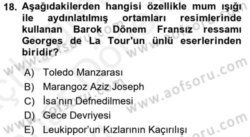 Görsel Kültür Dersi 2015 - 2016 Yılı (Vize) Ara Sınav Soruları 18. Soru