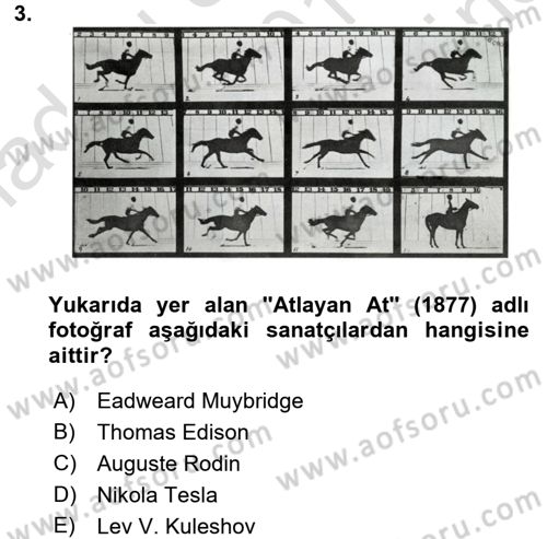 Görsel Kültür Dersi 2015 - 2016 Yılı (Final) Dönem Sonu Sınav Soruları 3. Soru