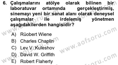 Görsel Kültür Dersi 2015 - 2016 Yılı (Final) Dönem Sonu Sınav Soruları 6. Soru