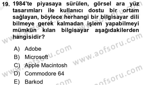 Görsel Kültür Dersi 2015 - 2016 Yılı Tek Ders Sınavı 19. Soru