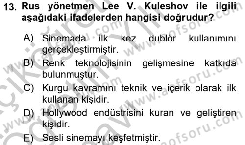 Görsel Kültür Dersi 2016 - 2017 Yılı 3 Ders Sınav Soruları 13. Soru