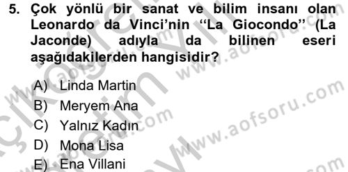 Görsel Kültür Dersi 2016 - 2017 Yılı 3 Ders Sınav Soruları 5. Soru