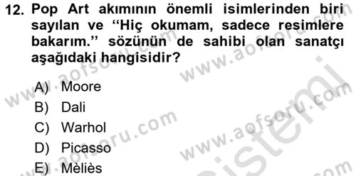 Görsel Kültür Dersi 2016 - 2017 Yılı (Final) Dönem Sonu Sınav Soruları 12. Soru