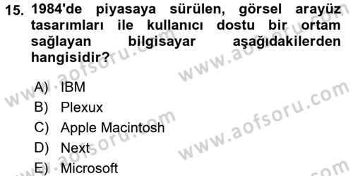 Görsel Kültür Dersi 2016 - 2017 Yılı (Final) Dönem Sonu Sınav Soruları 15. Soru