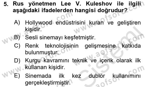 Görsel Kültür Dersi 2016 - 2017 Yılı (Final) Dönem Sonu Sınav Soruları 5. Soru