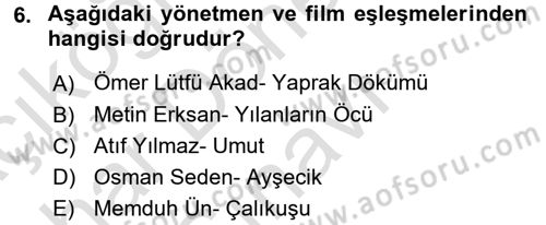 Görsel Kültür Dersi 2016 - 2017 Yılı (Final) Dönem Sonu Sınav Soruları 6. Soru