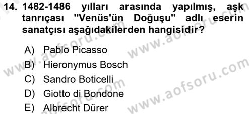 Görsel Kültür Dersi 2018 - 2019 Yılı (Vize) Ara Sınavı 14. Soru