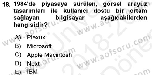 Görsel Kültür Dersi 2018 - 2019 Yılı (Final) Dönem Sonu Sınav Soruları 18. Soru
