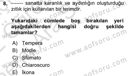 Görsel Kültür Dersi 2021 - 2022 Yılı (Vize) Ara Sınav Soruları 8. Soru