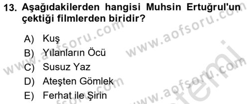 Görsel Kültür Dersi 2021 - 2022 Yılı Yaz Okulu Sınav Soruları 13. Soru