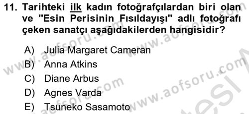 Görsel Kültür Dersi 2022 - 2023 Yılı Yaz Okulu Sınav Soruları 11. Soru