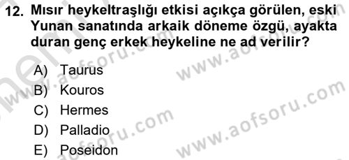 Görsel Kültür Dersi 2023 - 2024 Yılı (Vize) Ara Sınavı 12. Soru