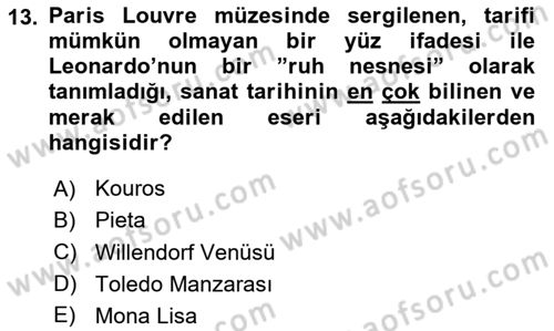 Görsel Kültür Dersi 2023 - 2024 Yılı (Vize) Ara Sınavı 13. Soru