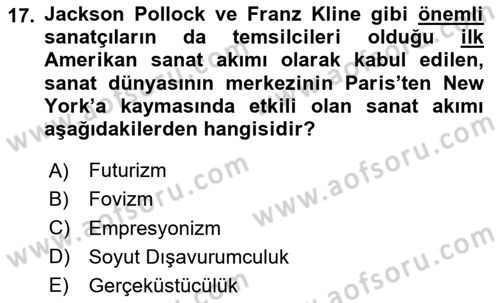 Görsel Kültür Dersi 2023 - 2024 Yılı (Vize) Ara Sınav Soruları 17. Soru