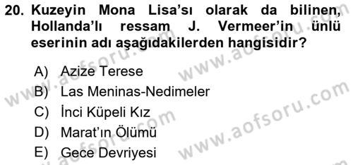Görsel Kültür Dersi 2023 - 2024 Yılı (Vize) Ara Sınav Soruları 20. Soru