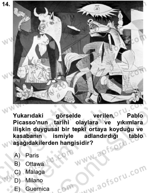 Görsel Kültür Dersi 2023 - 2024 Yılı (Final) Dönem Sonu Sınav Soruları 14. Soru