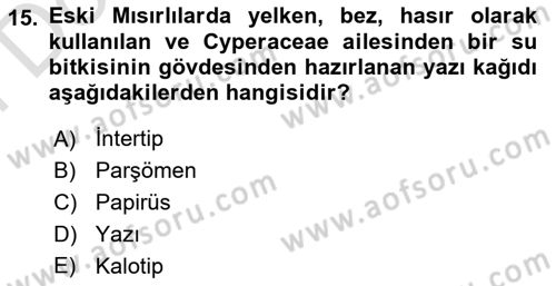 Görsel Kültür Dersi 2023 - 2024 Yılı (Final) Dönem Sonu Sınav Soruları 15. Soru