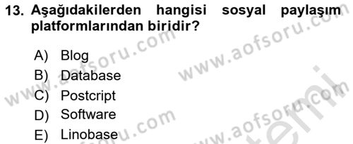 Görsel Kültür Dersi 2023 - 2024 Yılı Yaz Okulu Sınav Soruları 13. Soru