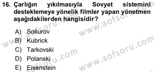 Görsel Kültür Dersi 2023 - 2024 Yılı Yaz Okulu Sınav Soruları 16. Soru