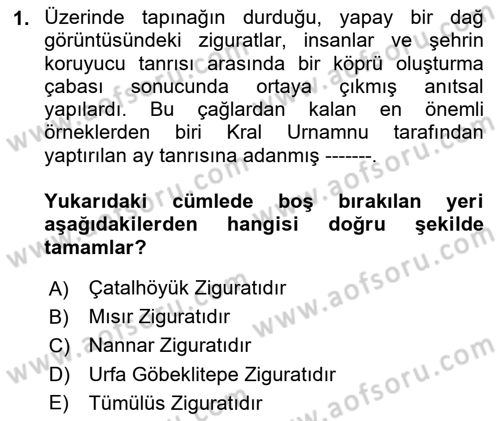 Görsel Kültür Dersi 2024 - 2025 Yılı (Vize) Ara Sınav Soruları 1. Soru