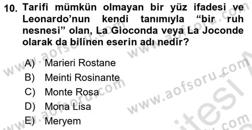 Görsel Kültür Dersi 2024 - 2025 Yılı (Vize) Ara Sınav Soruları 10. Soru