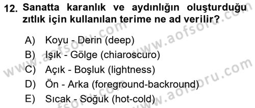 Görsel Kültür Dersi 2024 - 2025 Yılı (Vize) Ara Sınav Soruları 12. Soru