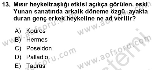 Görsel Kültür Dersi 2024 - 2025 Yılı (Vize) Ara Sınav Soruları 13. Soru