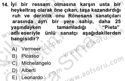 Görsel Kültür Dersi 2024 - 2025 Yılı (Vize) Ara Sınav Soruları 14. Soru