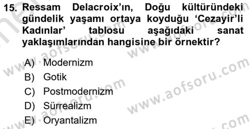 Görsel Kültür Dersi 2024 - 2025 Yılı (Vize) Ara Sınav Soruları 15. Soru