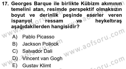 Görsel Kültür Dersi 2024 - 2025 Yılı (Vize) Ara Sınav Soruları 17. Soru