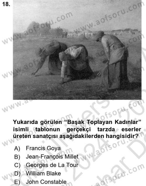 Görsel Kültür Dersi 2024 - 2025 Yılı (Vize) Ara Sınav Soruları 18. Soru