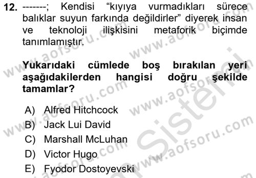 Görsel Kültür Dersi 2024 - 2025 Yılı (Final) Dönem Sonu Sınav Soruları 12. Soru